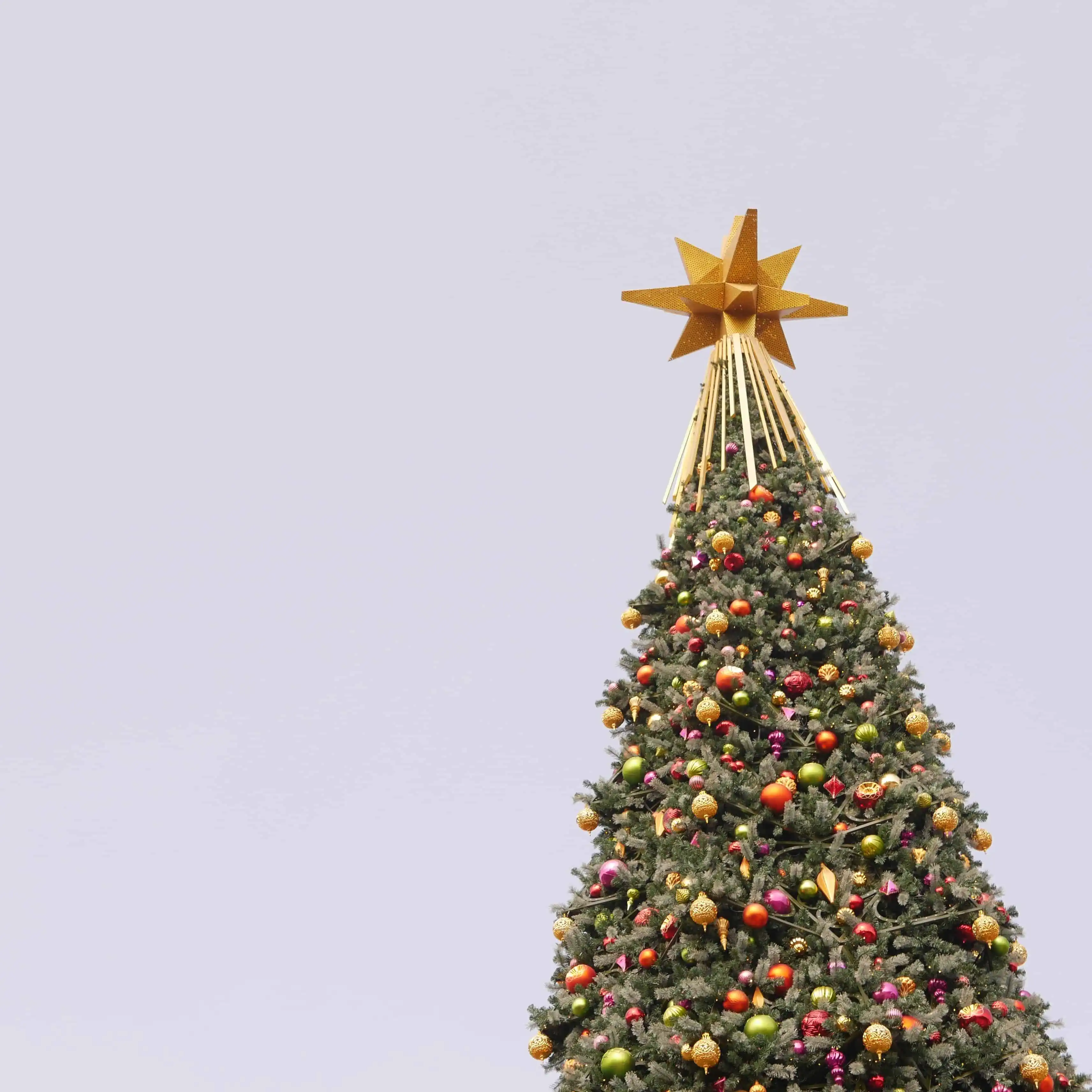 A picture of the upper part of a Christmas tree with a star on top.